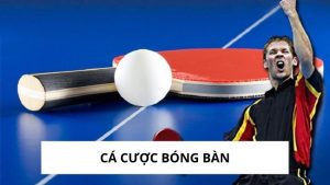 Cá Cược Bóng Bàn Trực Tuyến - Hướng Dẫn Cho Người Mới