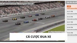 Cá Cược Đua Xe - Hình Thức Giải Trí Năng Động - B8B