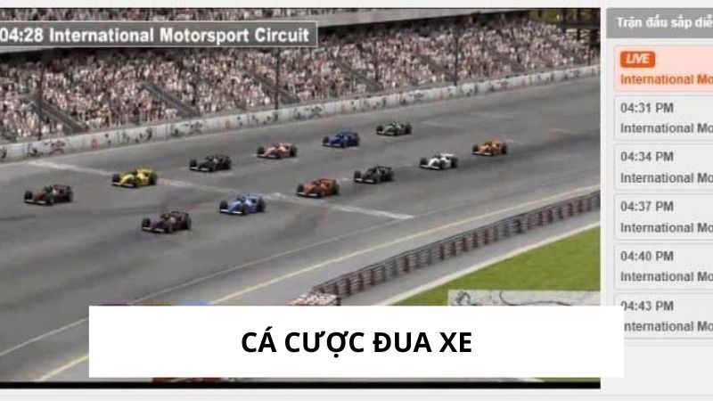 Cá Cược Đua Xe - Hình Thức Giải Trí Năng Động - B8B