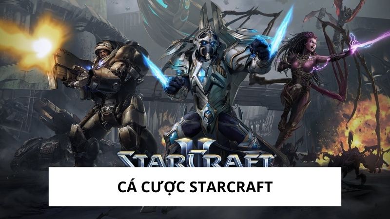 Cá Cược Starcraft: Hướng Dẫn Chi Tiết và Bí Quyết Thắng Lợi