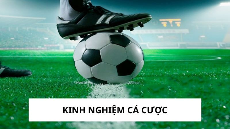 Kinh Nghiệm Cá Cược Giúp Bạn Chơi Hiệu Quả Hơn - B8B